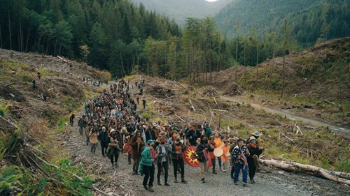 FAIRY CREEK5_thumb.jpg